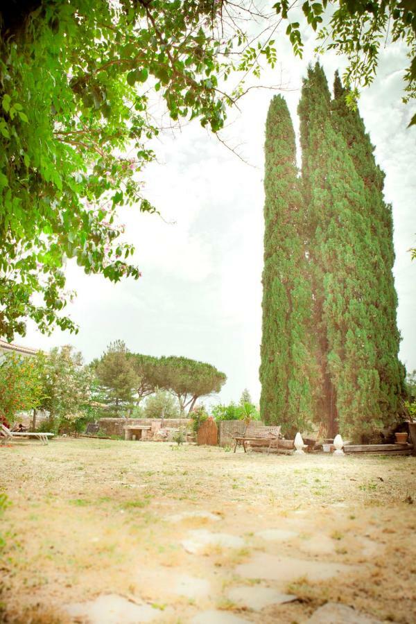 Il Pievano B&B Campiglia Marittima Exterior photo